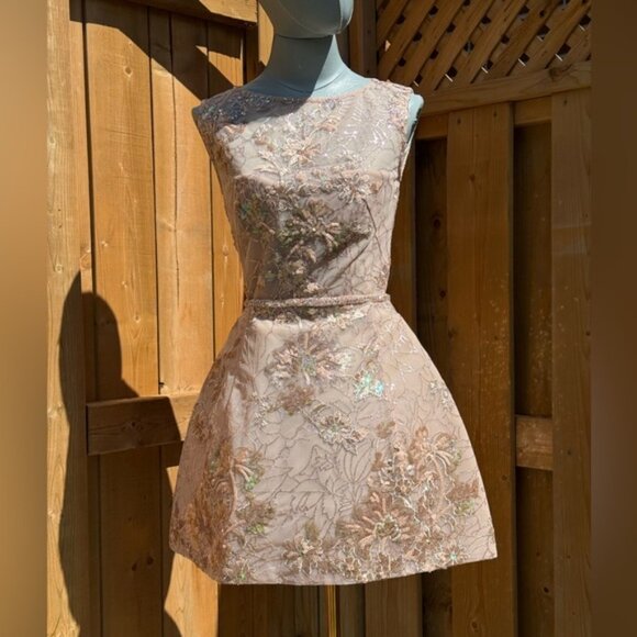 🆕 BRONX & BANCO 🧿 NWOT Violet Mini Dress, Gold & Champagne Sequin - Sz XS US 2 - Picture 2 of 15